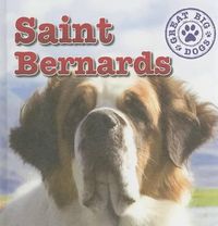 Cover image for Saint Bernards