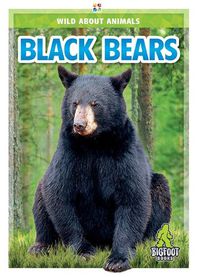 Cover image for Black Bears
