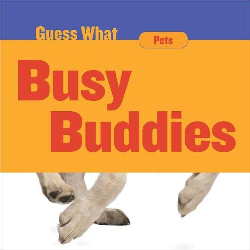 Cover image for Busy Buddies: Dog