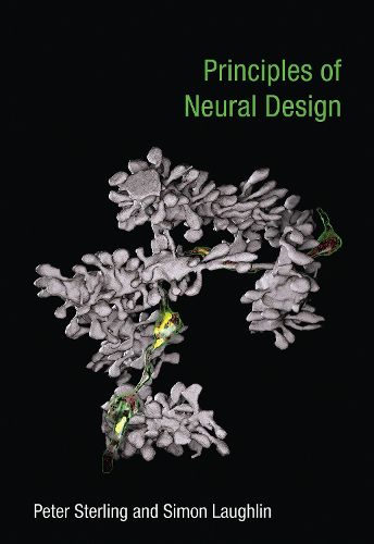 Cover image for Principles of Neural Design