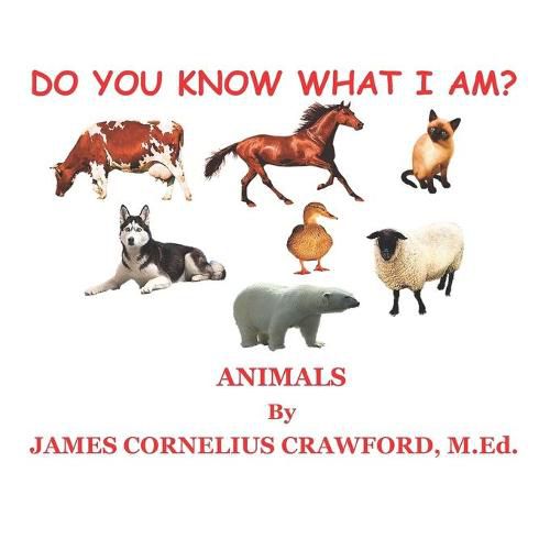 Cover image for Do You Know What I Am?