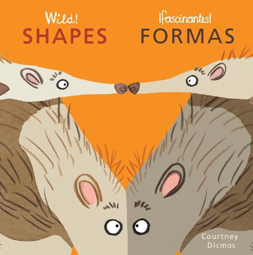 Cover image for Shapes/Formas