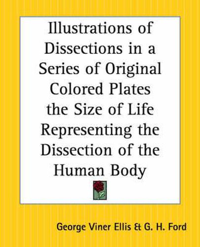 Illustrations of Dissections in a Series of Original Colored Plates the Size of Life Representing the Dissection of the Human Body