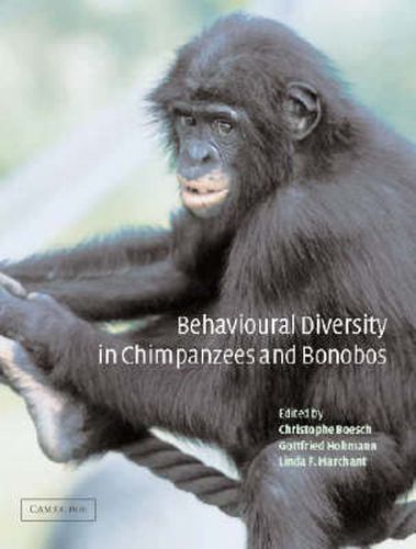 Cover image for Behavioural Diversity in Chimpanzees and Bonobos