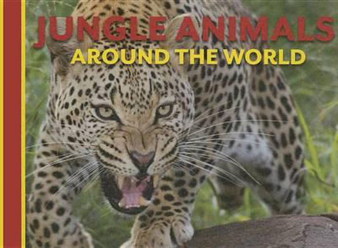 Jungle Animals Around the World