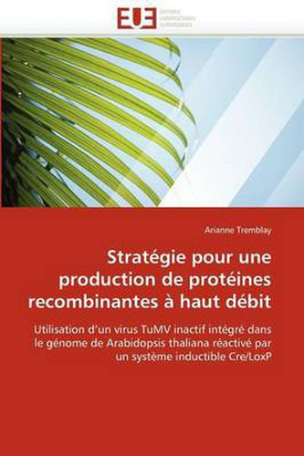 Cover image for Strat Gie Pour Une Production de Prot Ines Recombinantes Haut D Bit