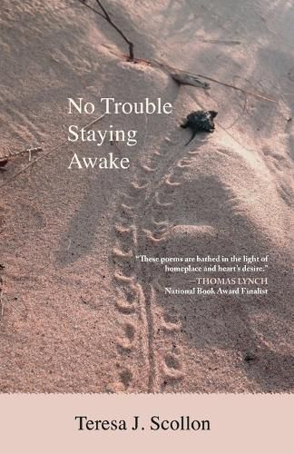 Cover image for No Trouble Staying Awake