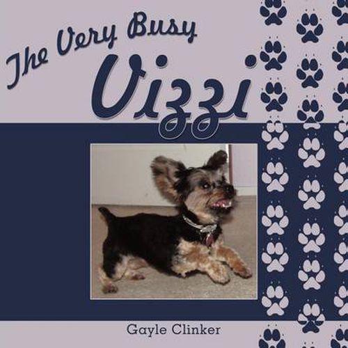 Cover image for The Very Busy Vizzi