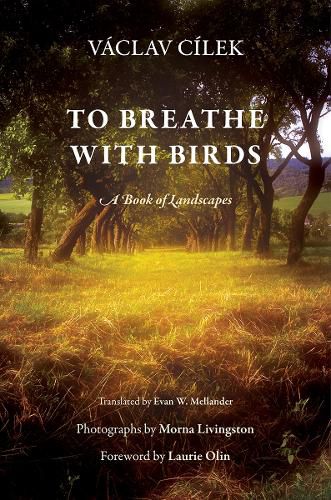 Cover image for To Breathe with Birds: A Book of Landscapes