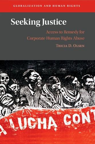 Cover image for Seeking Justice