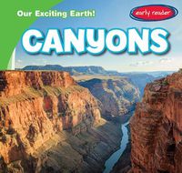 Cover image for Canyons