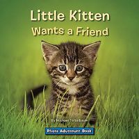 Cover image for Little Kitten Wants a Friend