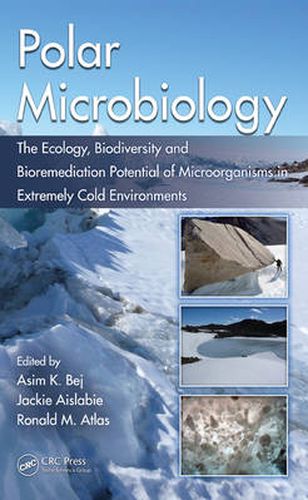 Cover image for Polar Microbiology: The Ecology, Biodiversity and Bioremediation Potential of Microorganisms in Extremely Cold Environments