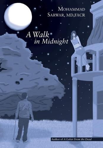 Cover image for A Walk in Midnight