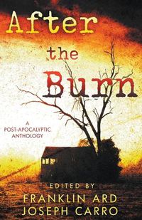 Cover image for After the Burn