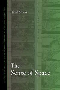 Cover image for The Sense of Space