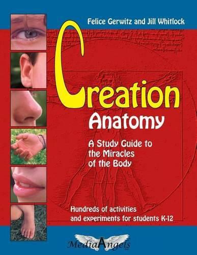 Cover image for Creation Anatomy: A Study Guide to the Miracles of the Body