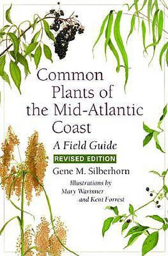 Cover image for Common Plants of the Mid-Atlantic Coast: A Field Guide