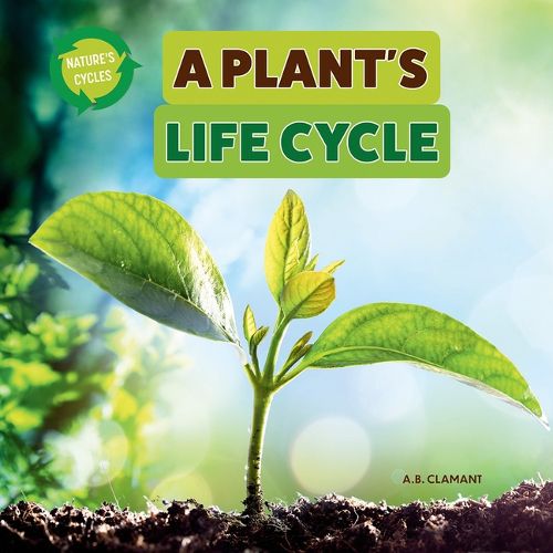 Cover image for A Plant's Life Cycle