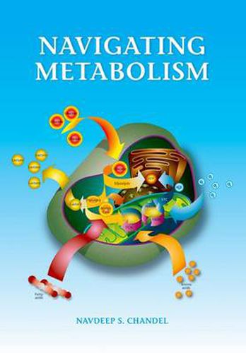 Cover image for Navigating Metabolism