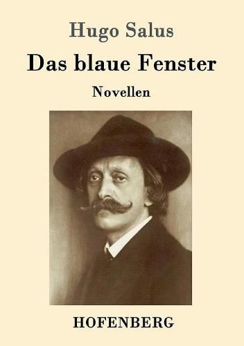 Cover image for Das blaue Fenster: Novellen