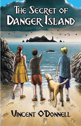 Cover image for The Secret of Danger Island