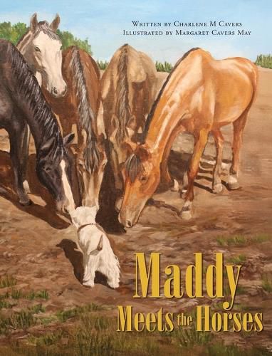 Cover image for Maddy Meets the Horses