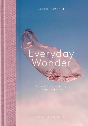 Cover image for Everyday Wonder