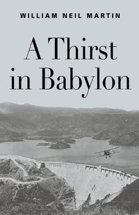 Cover image for A Thirst in Babylon