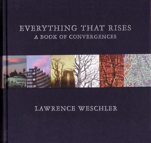 Cover image for Everything That Rises