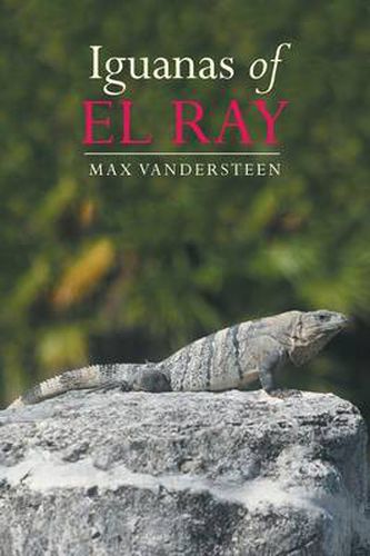 Cover image for Iguanas of El Ray