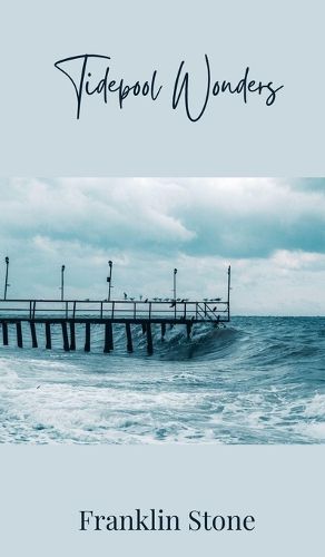 Cover image for Tidepool Wonders
