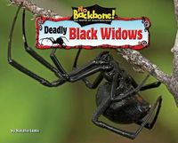 Cover image for Deadly Black Widows