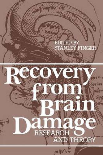 Cover image for Recovery from Brain Damage: Research and Theory