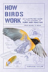 Cover image for How Birds Work: An Illustrated Guide to the Wonders of Form and Function--From Bones to Beak