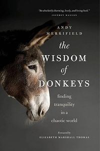 Cover image for The Wisdom of Donkeys: Finding Tranquility in a Chaotic World