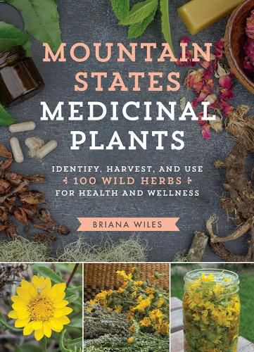 Cover image for Mountain States Medicinal Plants: Identify, Harvest, and Use 100 Wild Herbs for Health and Wellness