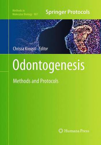 Cover image for Odontogenesis: Methods and Protocols