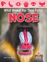 Cover image for Nose