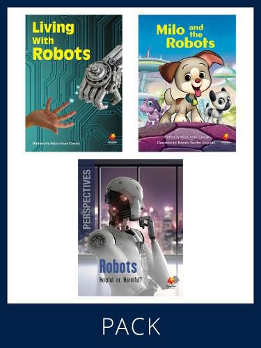 Cover image for Flying Start Paired & Perspective Pack Level U, Pack 4: Includes Pair of Student Books (SB) 6 copies each, Perspectives Books 6 copie