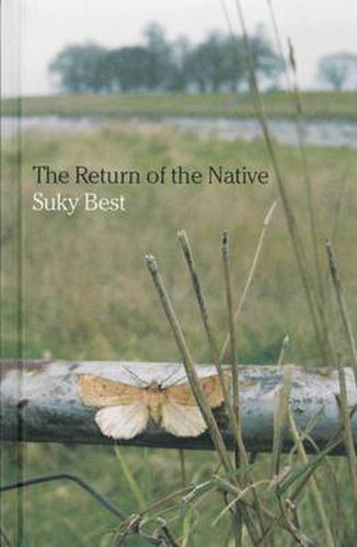 Cover image for The Return of the Native