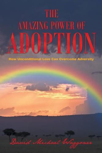 Cover image for The Amazing Power of Adoption: How Unconditional Love Can Overcome Adversity