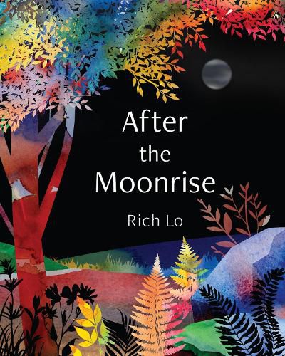 Cover image for After the Moonrise