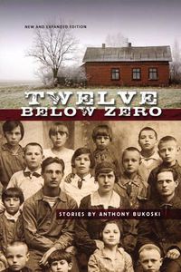 Cover image for Twelve Below Zero