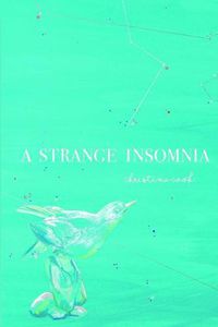 Cover image for A Strange Insomnia