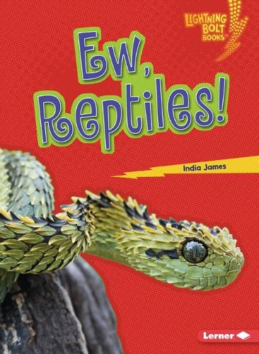 Cover image for Ew, Reptiles!