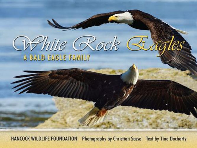 Cover image for White Rock Eagles: a Bald Eagle family