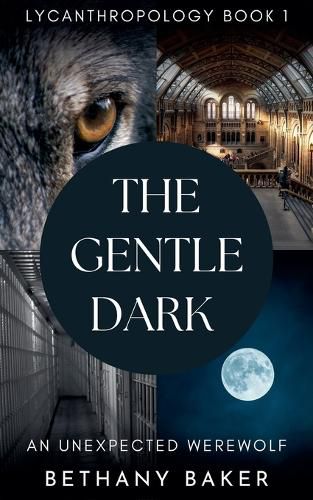 Cover image for The Gentle Dark