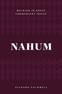 Cover image for Nahum: Meet the True God