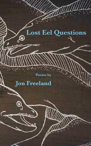 Cover image for Lost Eel Questions